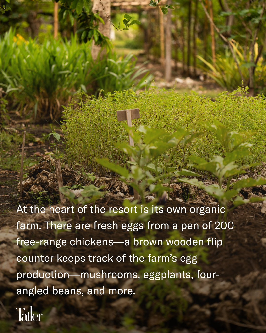 Post image 8