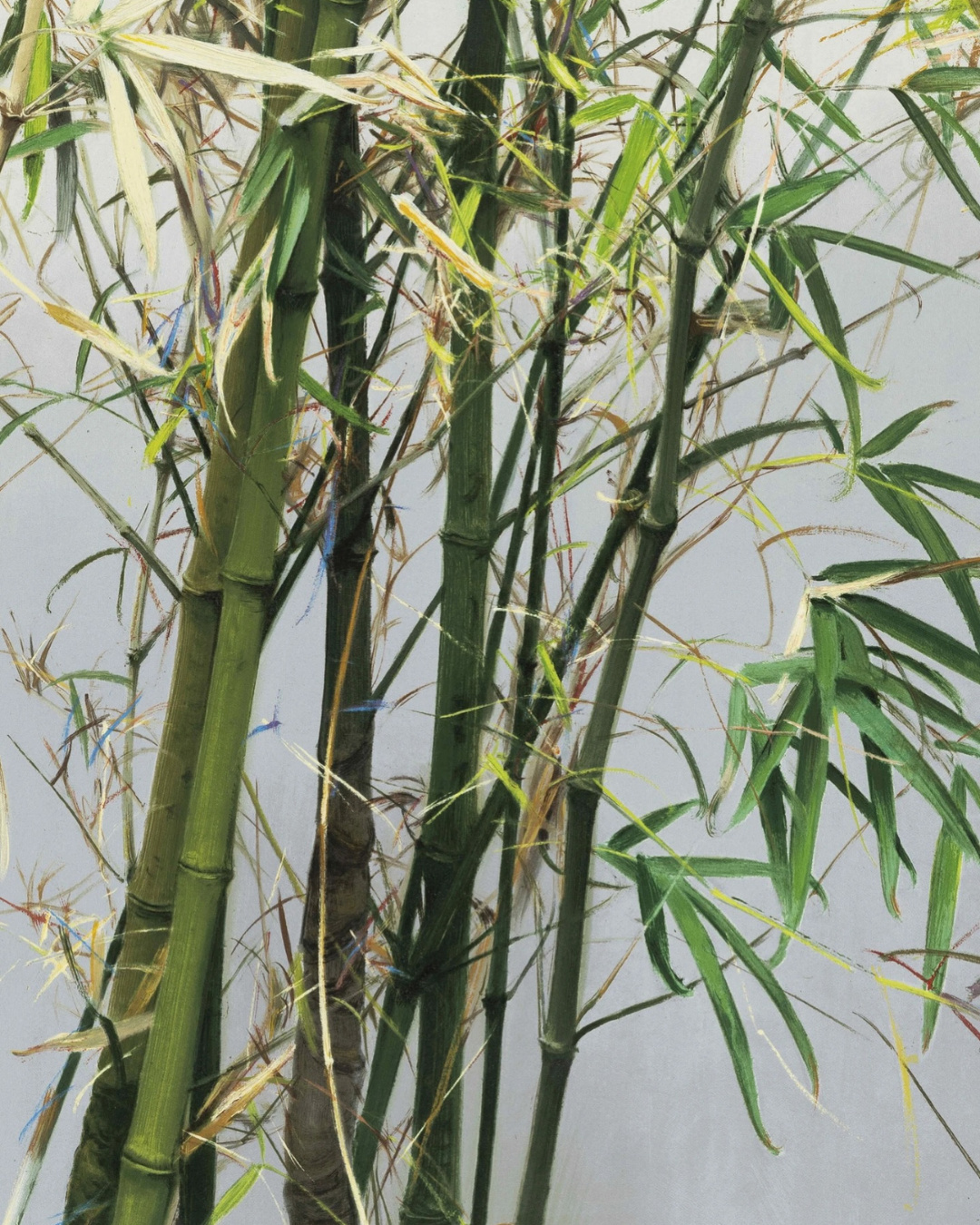 Post image 7